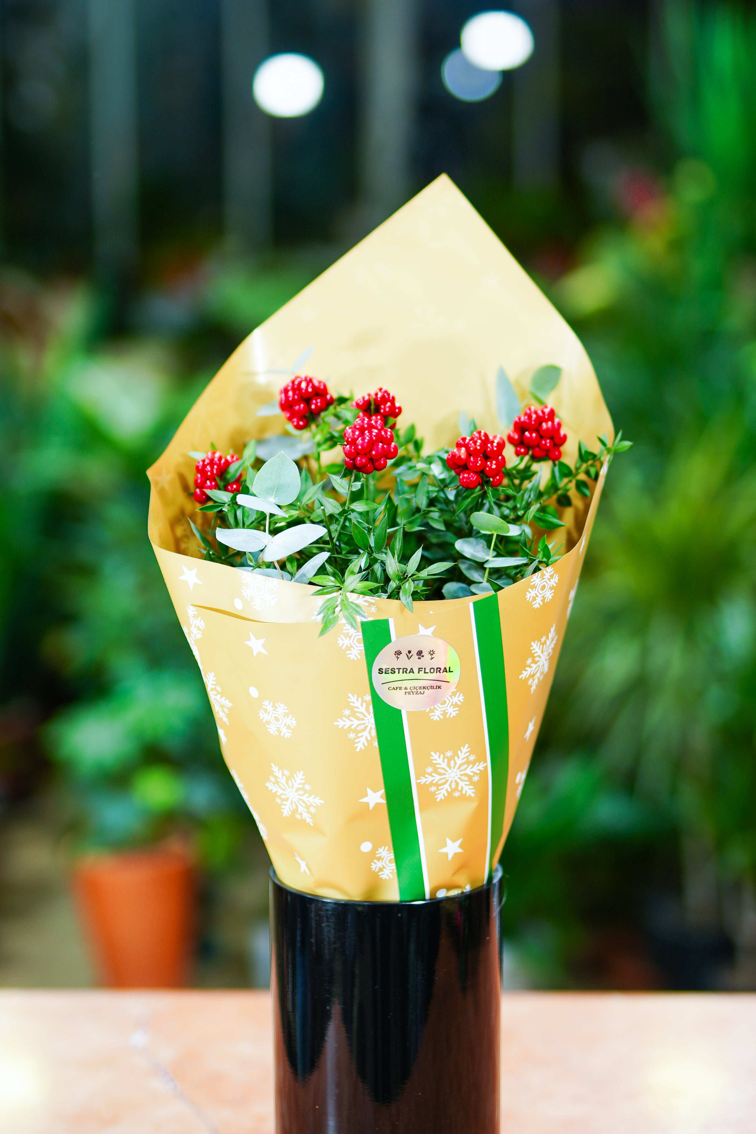 6’lı Kokina Buketi — Kışın kırmızı mutluluğu