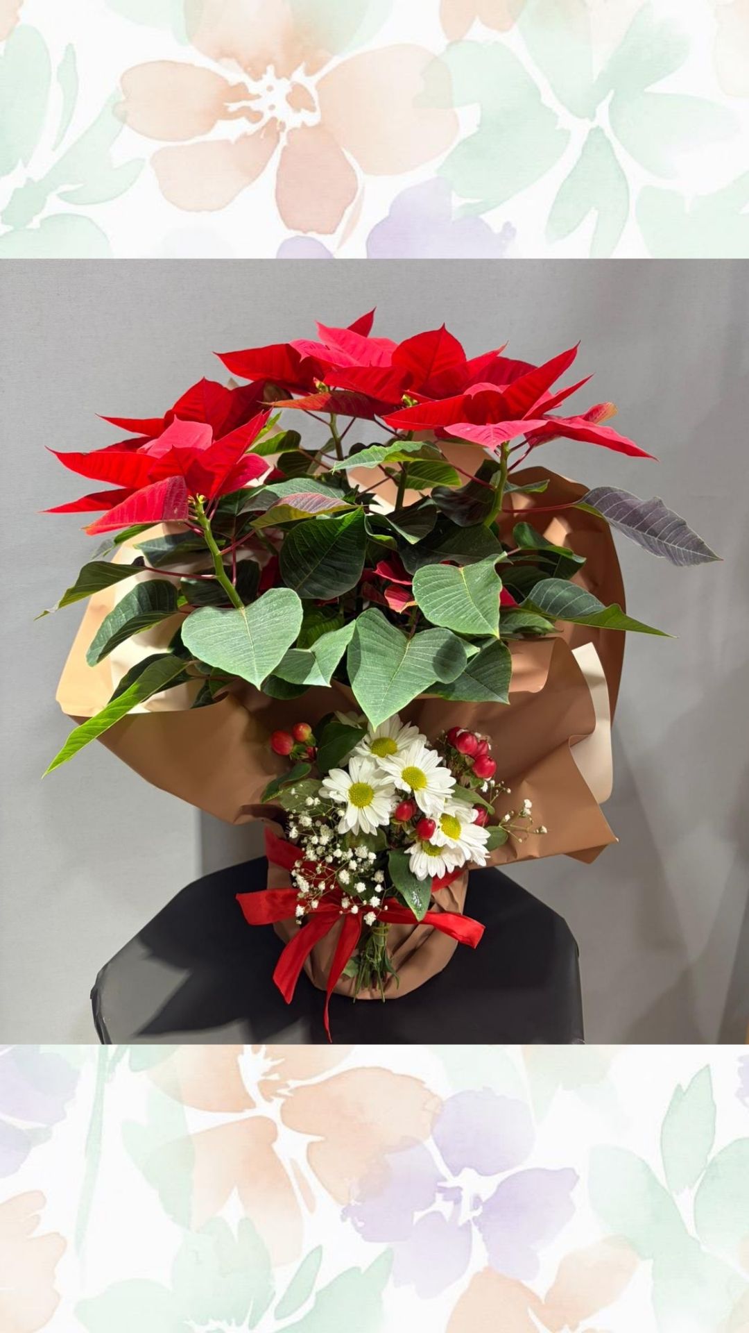 Atatürk çiçeği dev boy