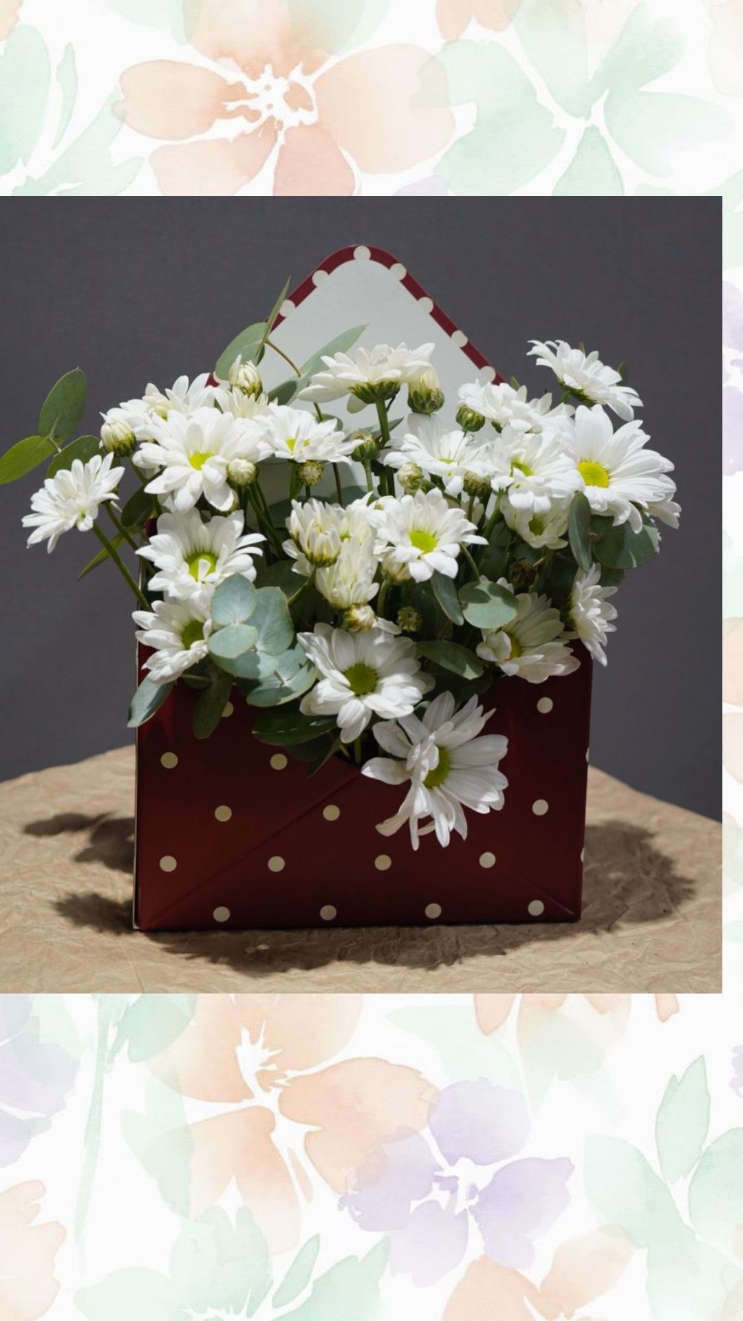 bordo zarf kutuda papatya 