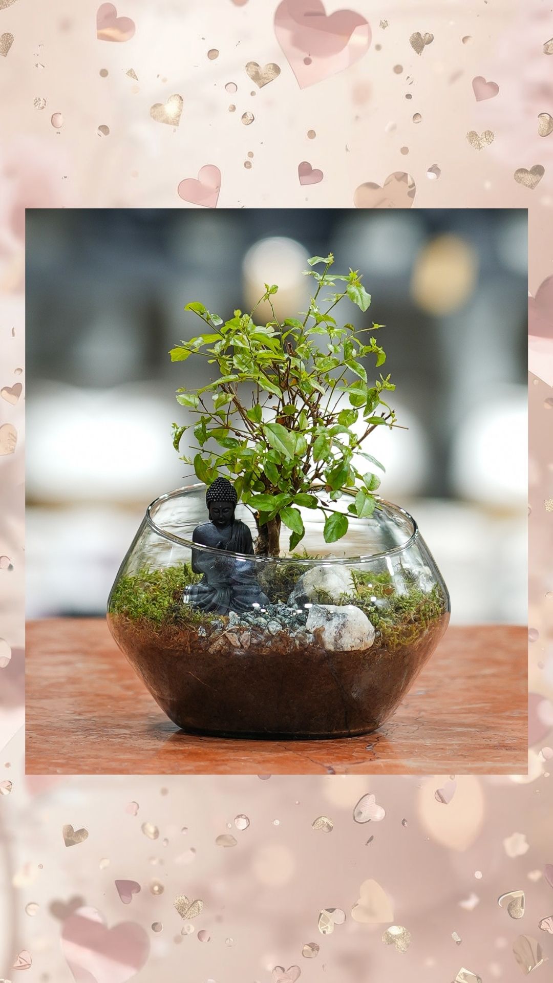 cam vazoda bonzai kültürü