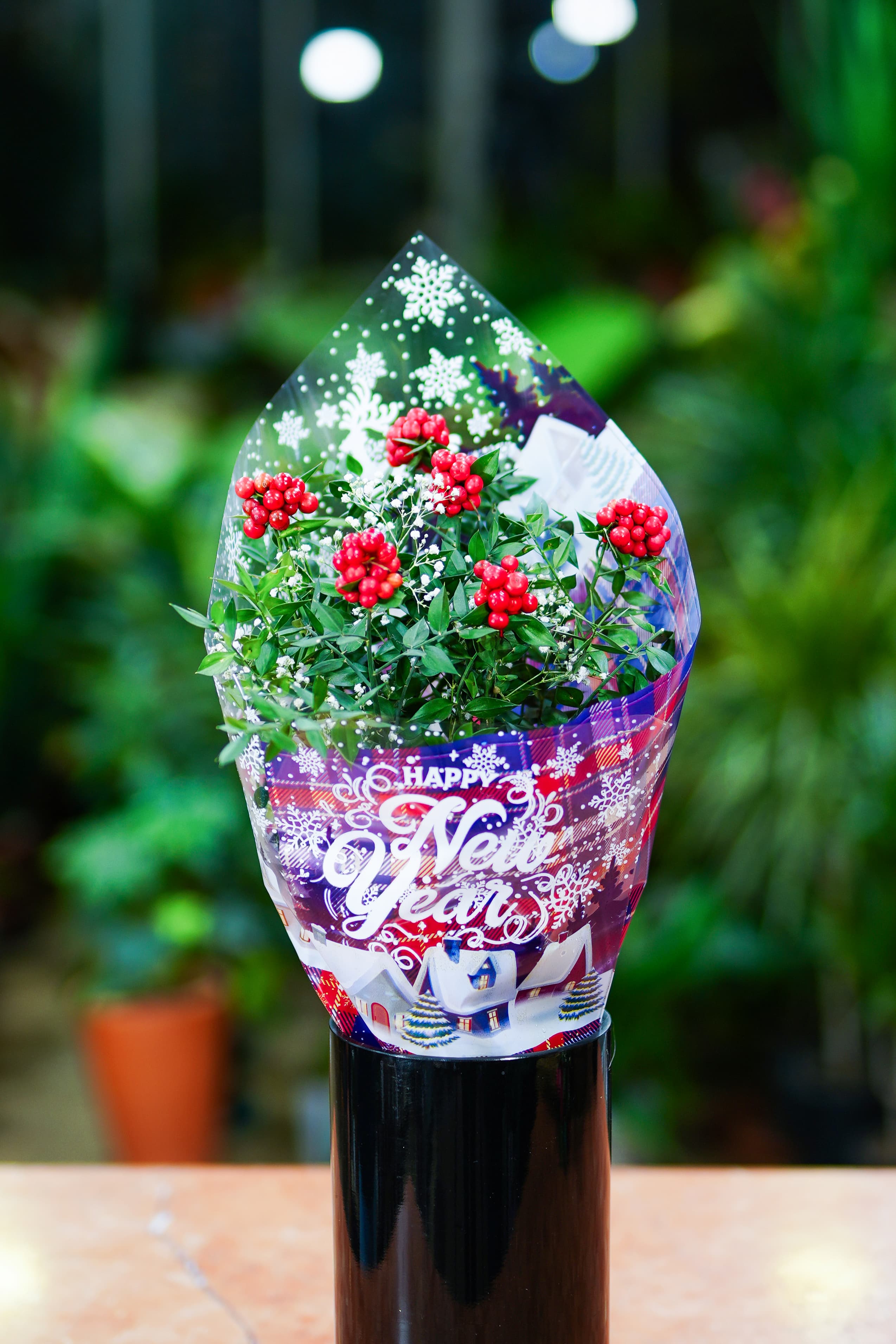 EKOSE KAPLI KOKİNA BUKETİ