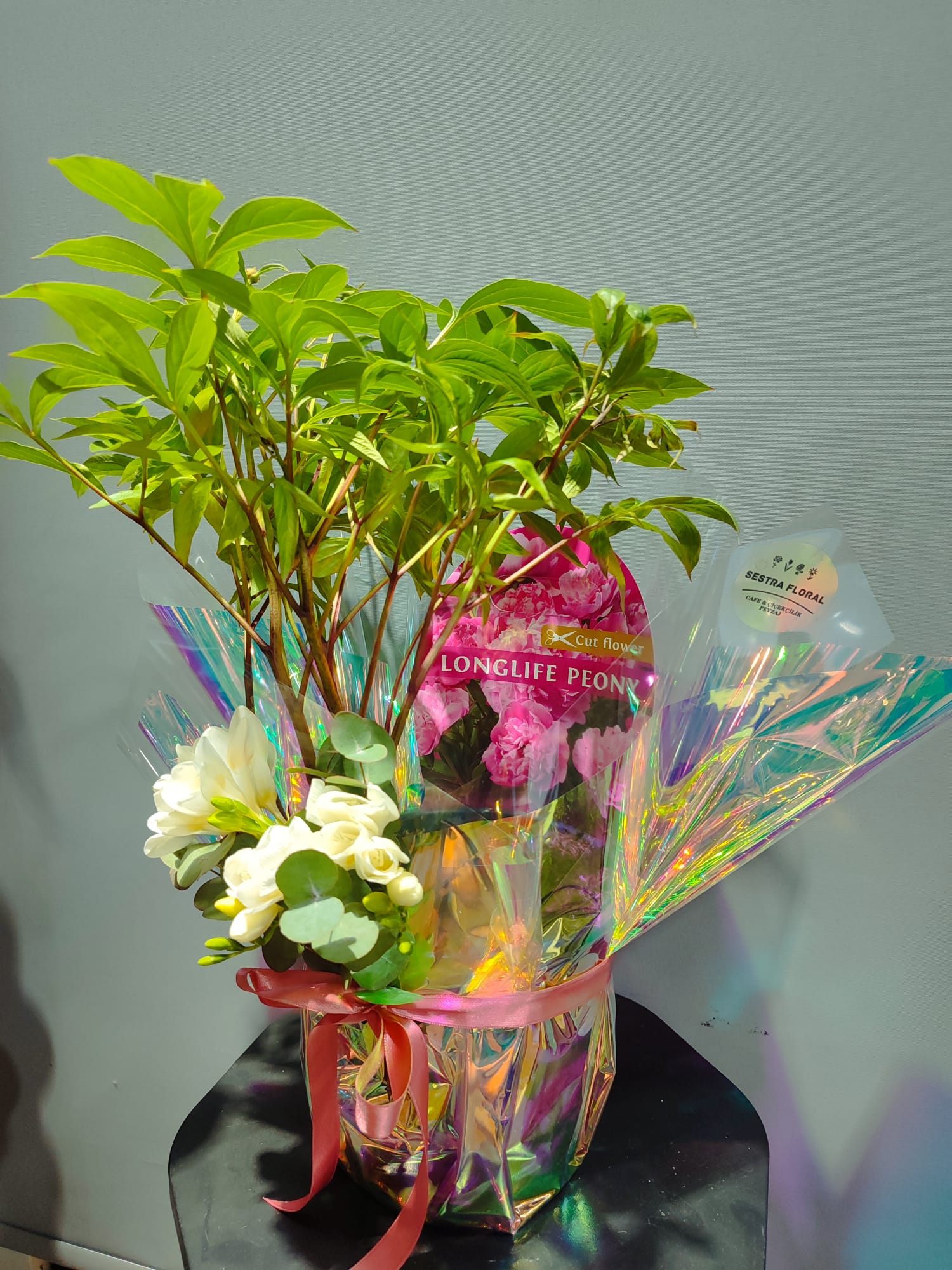 İthal Saksılı Şakayık Bitkisi 