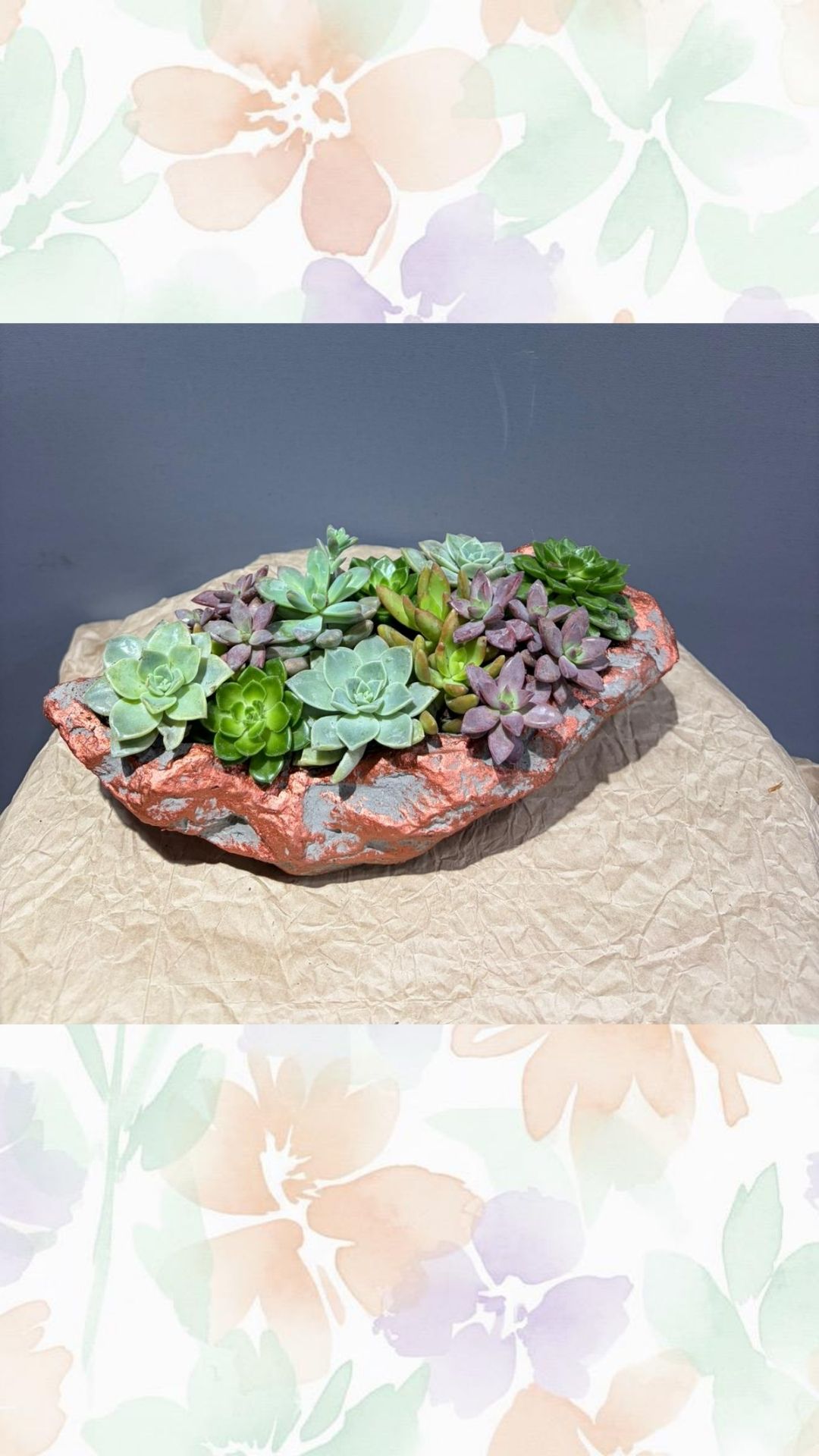 kayık skulent arajmanı