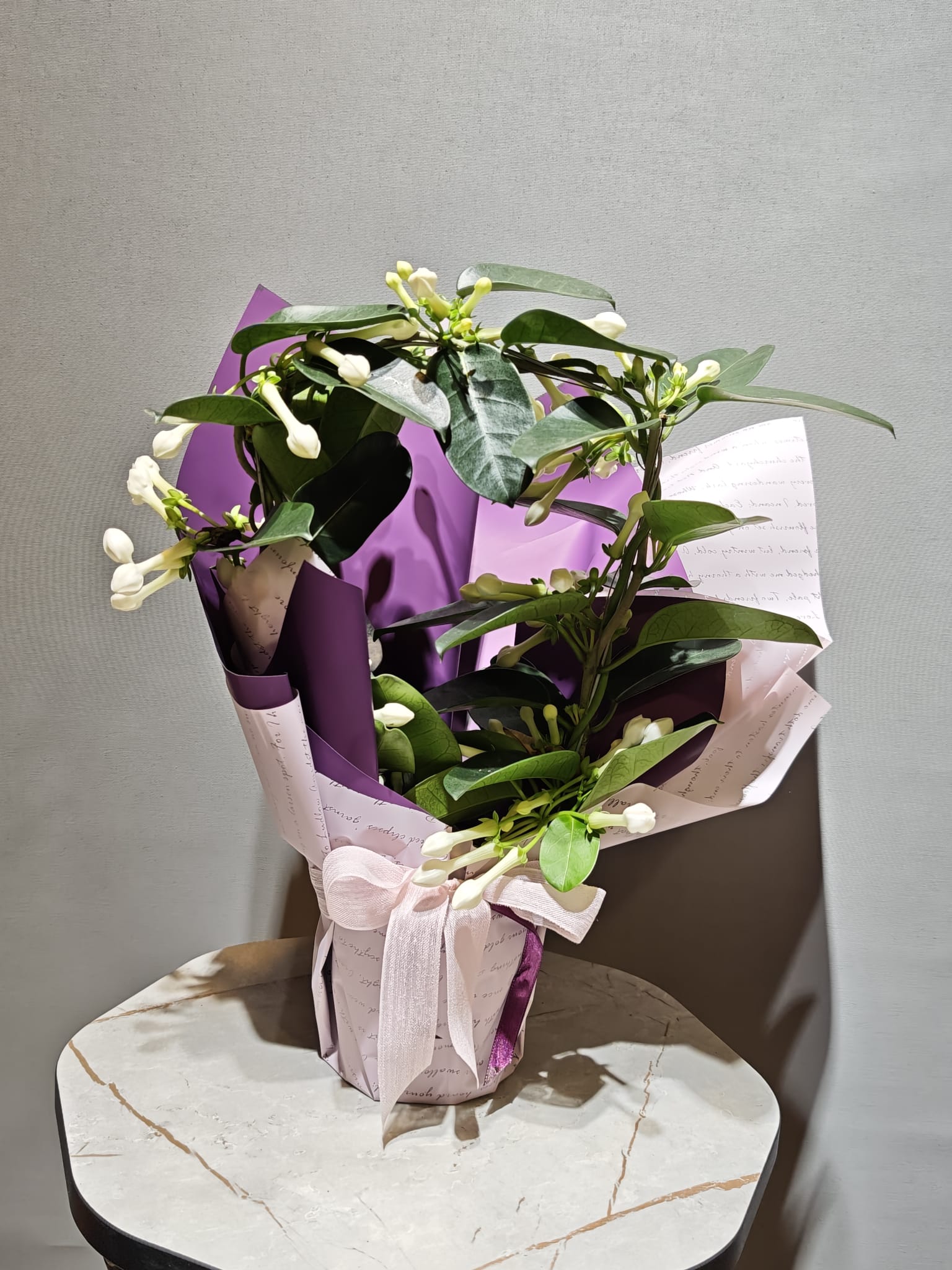 Madagaskar Yasemini