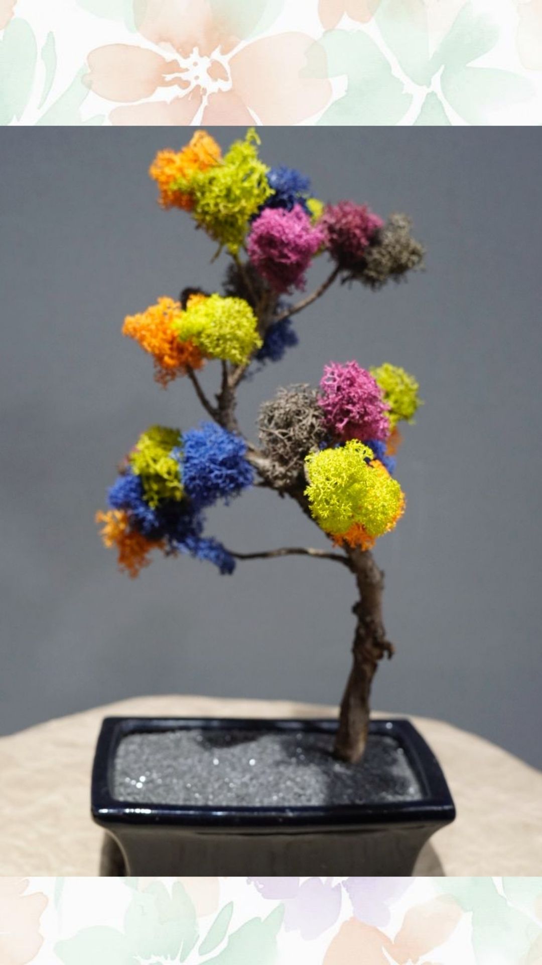 moss ağaç bonsai seramik saksılı ( premium ürün)