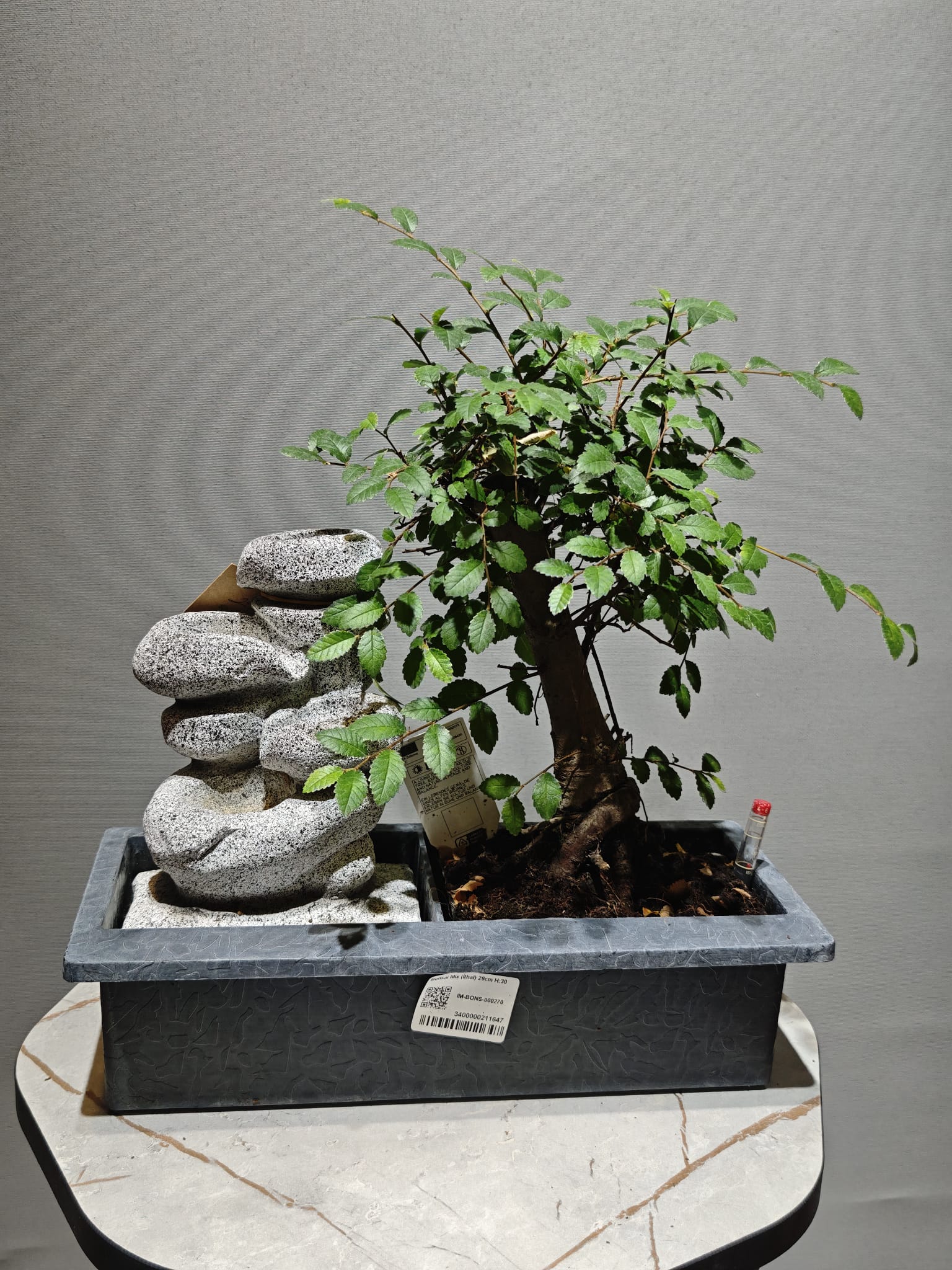 Şelaleli Bonsai