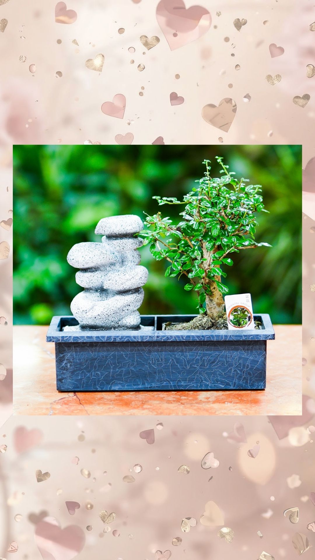 su şelaleli bonsai