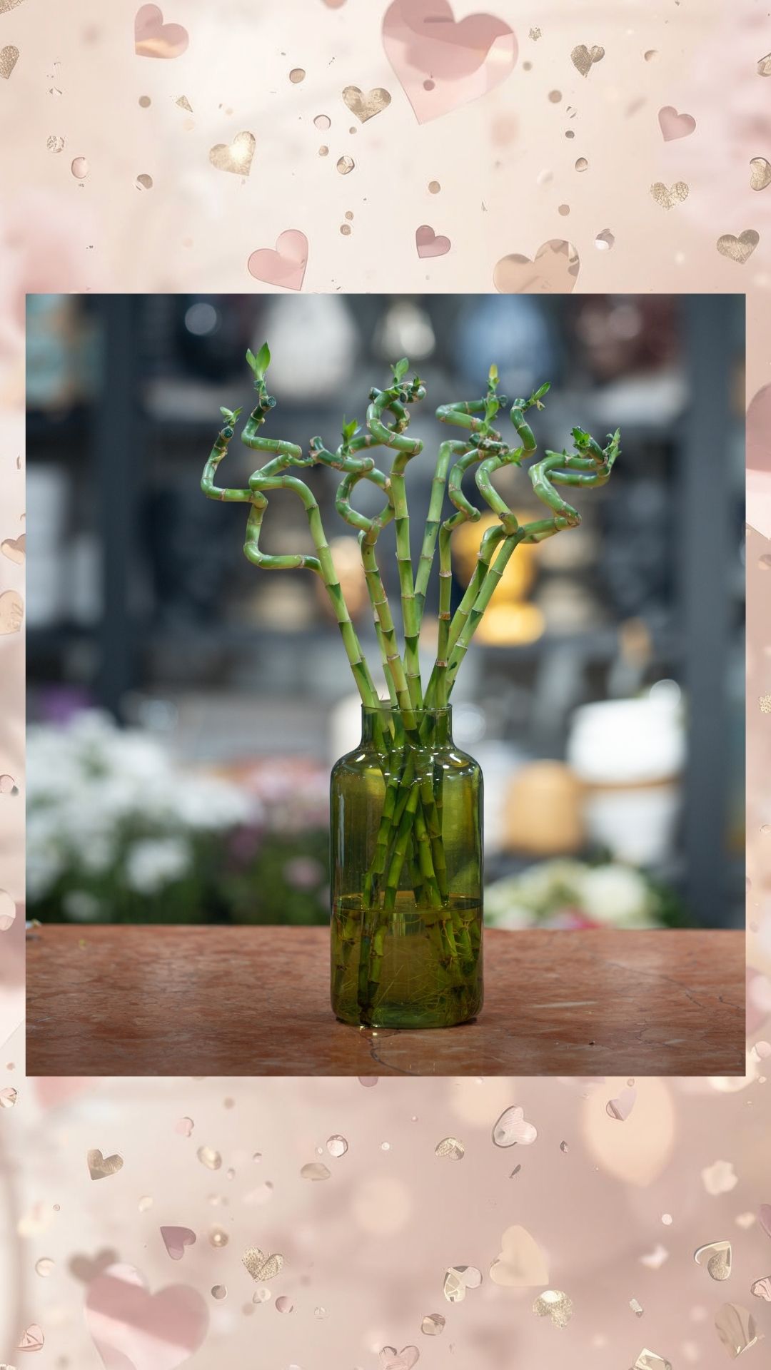 yeşil retero vazoda 5 bambu