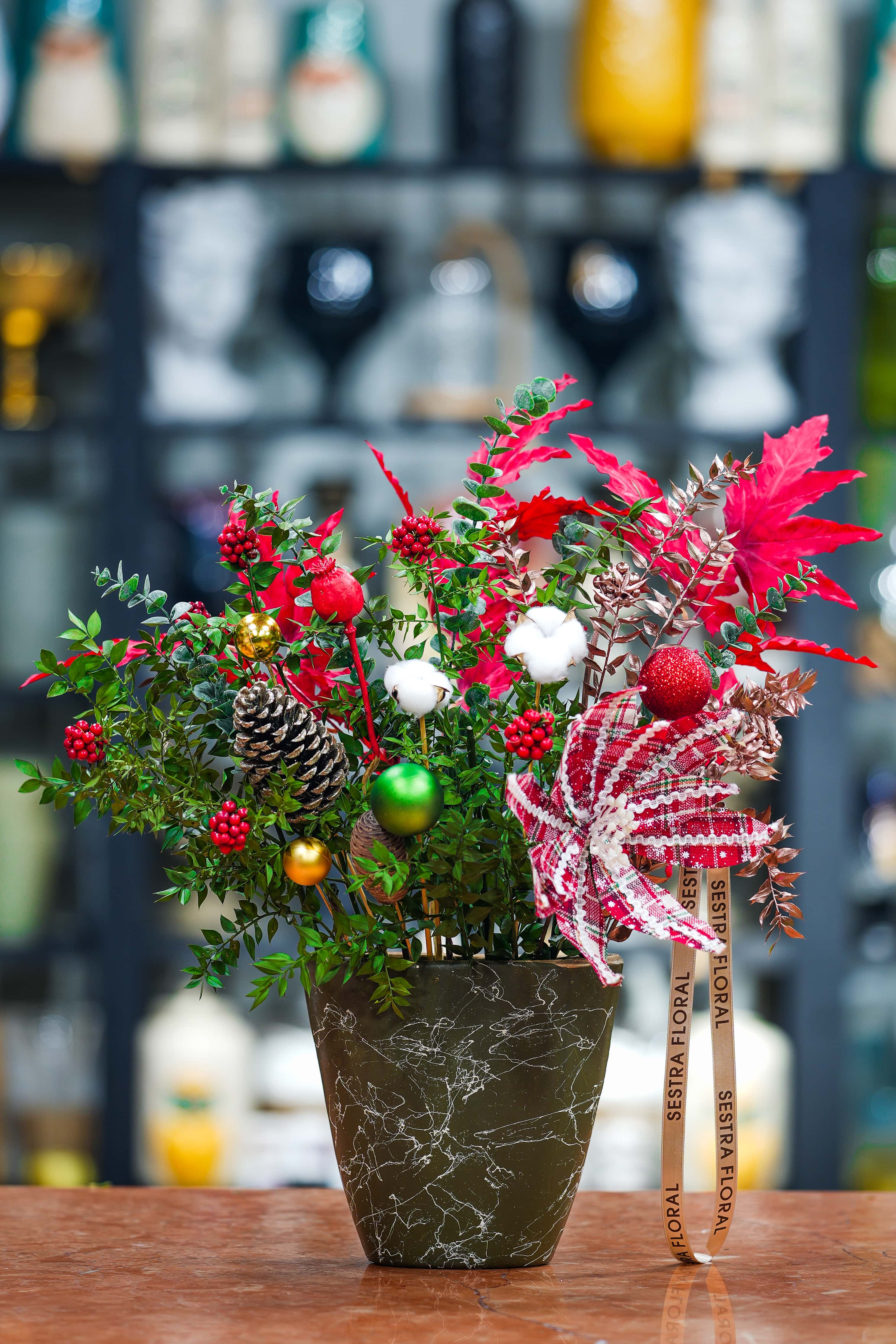 YEŞİL SAKSIDA  KOKİNA ARAJMANI