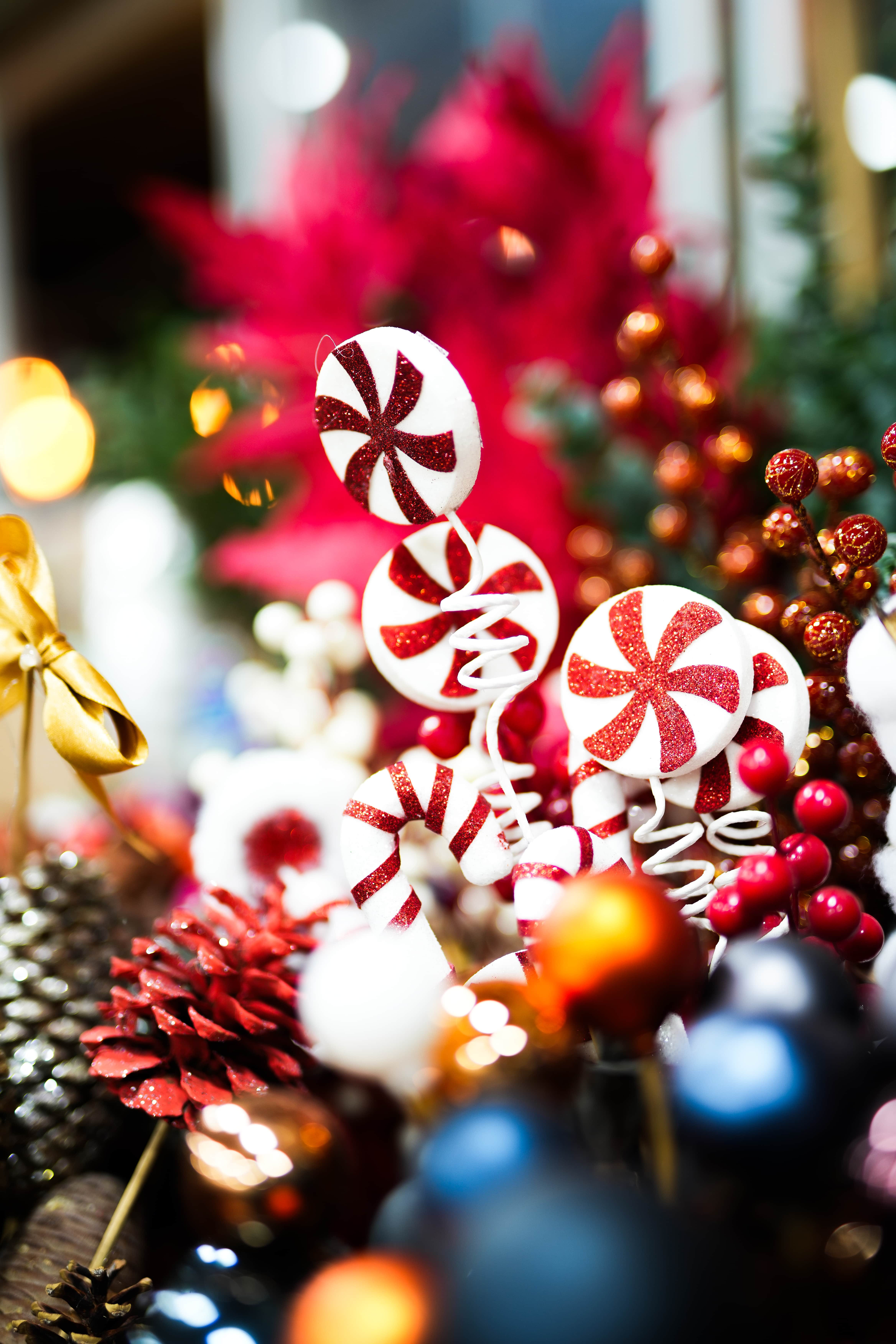 YILBAŞI ÜRÜNLERİ