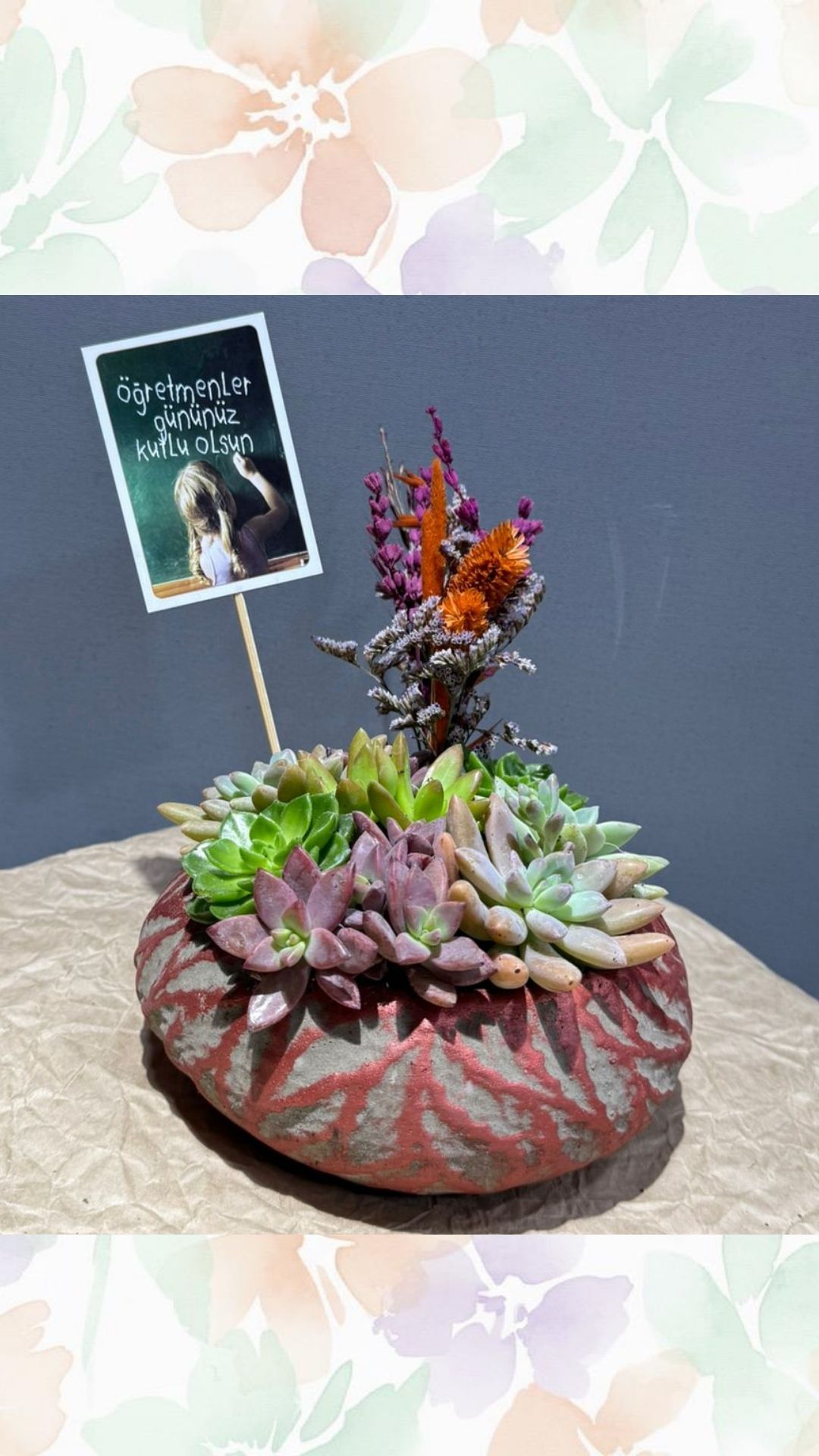 yuvarlak skulent arajmanı